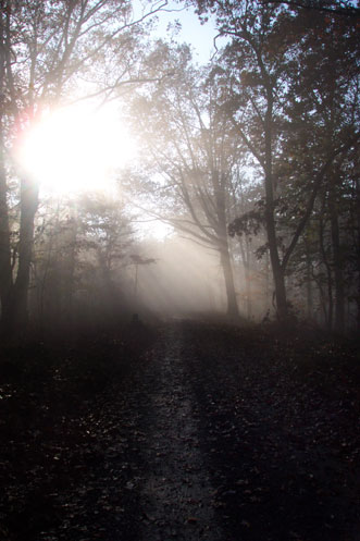 who knows where the mist leads